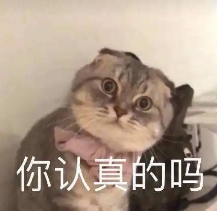  袁弘为张歆艺选的哪吒泳衣笑翻众人,可知道寓意后却笑不出来了