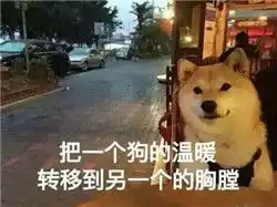 情侣表情包对女朋友的不