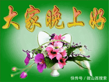  朋友圈晚上好微信表情晚安问候祝福语录大全