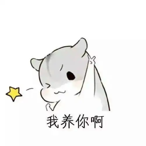  斗图丨仓鼠情侣表情包