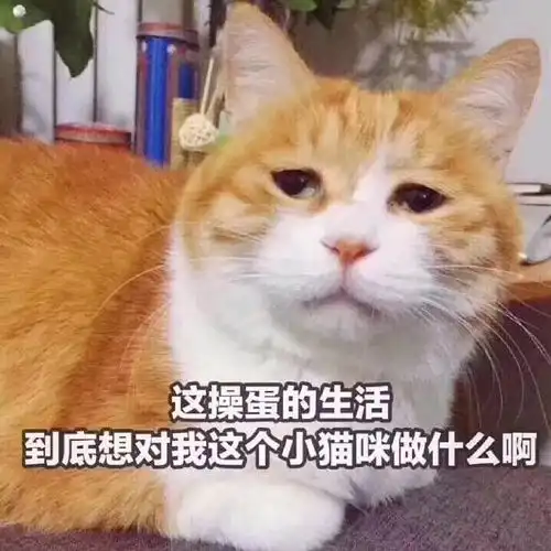  我的收藏