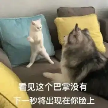  就你妈斜门没门第240期喵表情