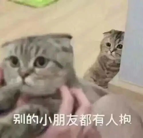  小仙女表情包用起来