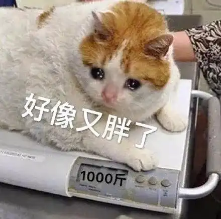  有哪些让沙雕之魂熊熊燃烧的朋友圈文案