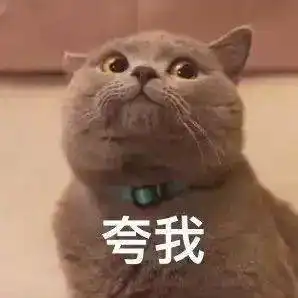 担心表情包猫咪日本语言