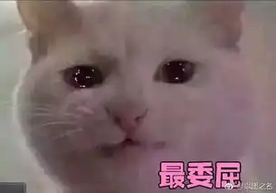  王思聪实名喷优酷,还牵扯出热搜小秘密,难怪最近明星奇葩热搜越来越多了