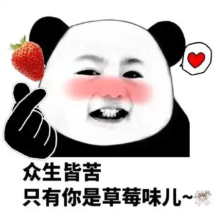  一部不仅仅关于爱,更关于生活的影片蒂姆