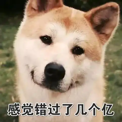 汪表情第25期春节抢红包必备,拿去不谢