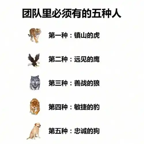  当代舔狗讨好的日常,哈哈哈绝了,这解读也是老心酸了