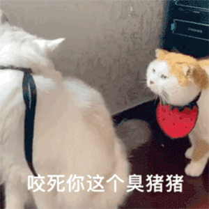  一大堆表情包更新呜呜呜想你