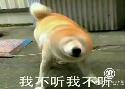 还没买保险的朋友一定要看,不然你就真的彻底输了 还没买保险的朋友一定要看,不然你就真的彻底输了