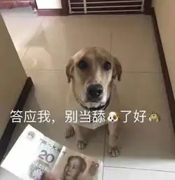 不一样表情包狗狗