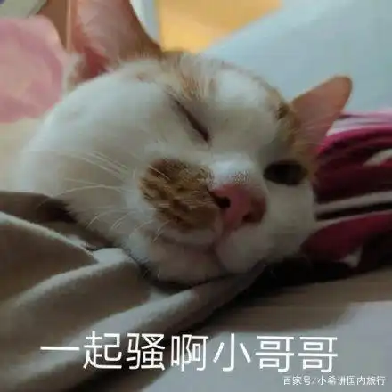  最后这一个动作女汉子本性暴露无遗