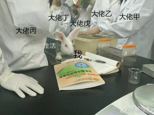  大学生能被期末考试逼到什么程度