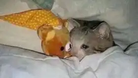  2.70.9