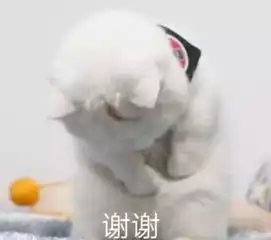  男票不理人咋办送你一组很黄很污的表情包,谨慎使用