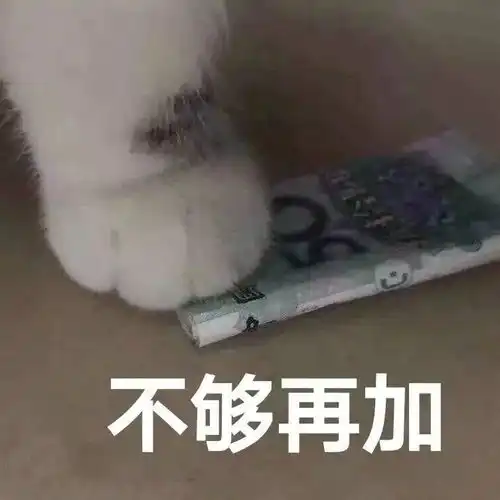  买你一晚猫爪表情包谁有吖快分享一下吧