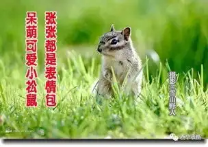 野人图片表情包高清