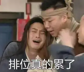  斗图我不能输表情包助你怼上天