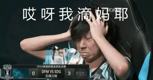 edg是什么意思表情包瓜