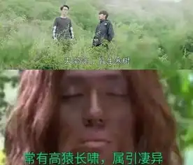  镇魂剧评双男主卖力秀演技,抵不住编剧拖后腿