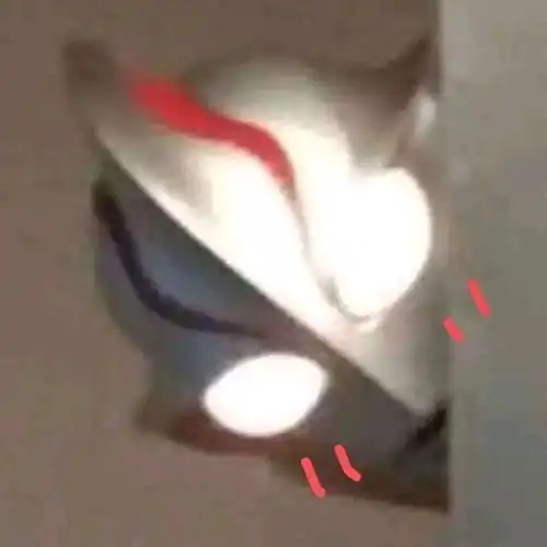  bl万人迷修罗场主受文受超有魅力