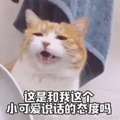  女生的神逻辑,男生了解一下