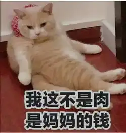  猫咪肥胖问题太可怕,慎点
