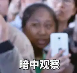 虹桥机场一姐走红粉丝圈7种形态你看得懂吗 虹桥机场一姐走红粉丝圈7种形态你看得懂吗