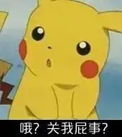  皮卡丘表情包哦关我屁事