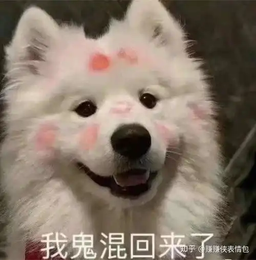  必备表情包图片帮你优雅的怼人,骂人不带脏字