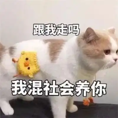  精选你们最爱的微信沙雕表情包时间会沉淀很多不值得的人和事....