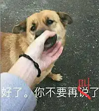  hafuhafu狗叫微信表情聊天包下载hafuhafu狗叫表情包下载完整版腾牛下载