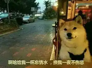  柴犬表情包上面的字写的好像是一个人看尽世态炎凉的图片求大神告知