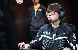 edg是什么意思表情包蔡