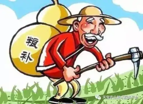  今年农补定了补贴该给谁哪些农民领不到补贴都在这儿呢