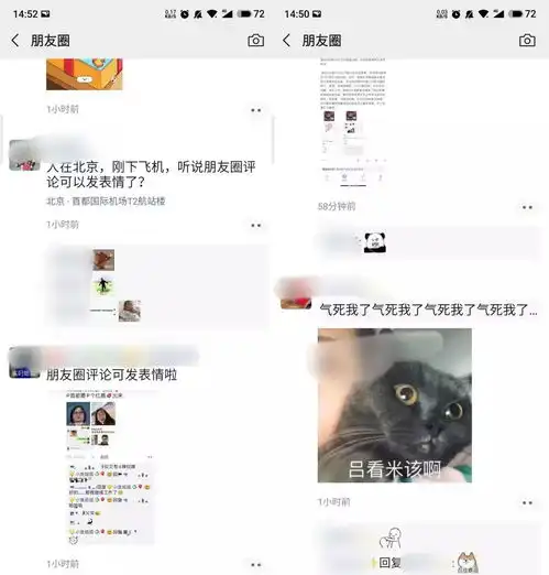  微信更新,朋友圈评论能发表情包,结果变成沙雕狂欢
