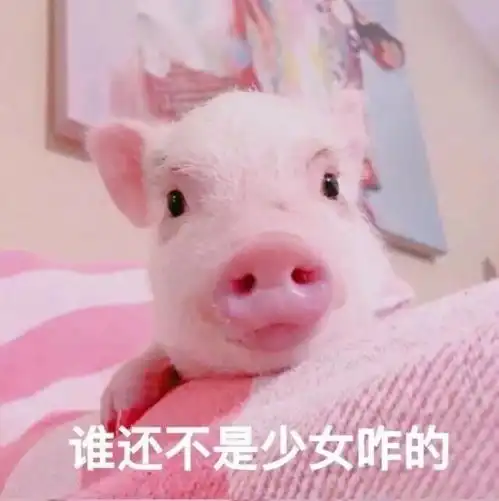 猪被打表情包小猪