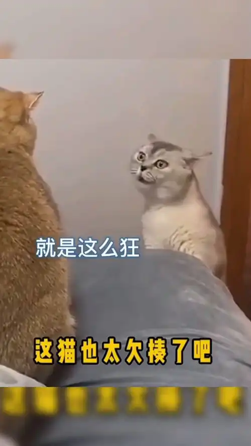 欠打的表情包欠揍