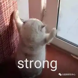  唯一富过15代的家族苏州园林是私产,22岁的她躺着碾压半个名媛圈