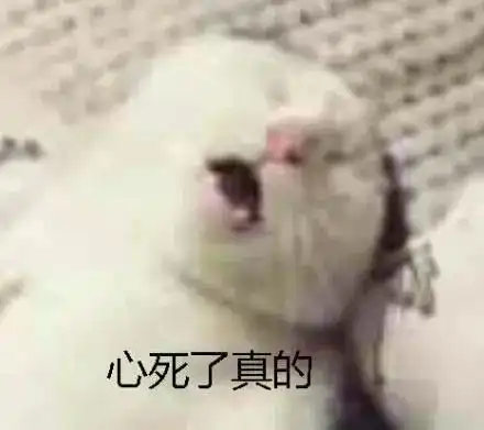 沙雕狗子表情包法国