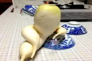  胡歌被扒出碰瓷式摔倒,摔出了表情包式的优雅,画面太搞笑
