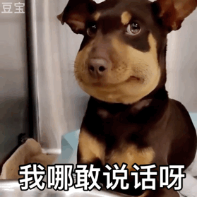  肿脸狗表情包被蜜蜂蛰的狗子可怜无辜委屈丑萌