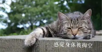  压力线与轻松线3号成就型到底是如何呈现的