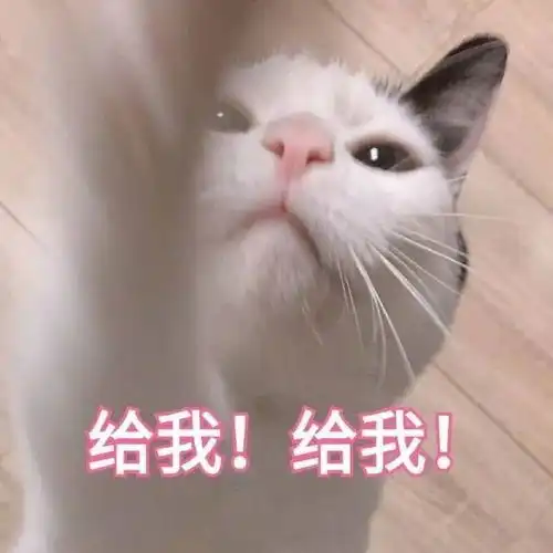  表情包你是在找我这个小可爱吗