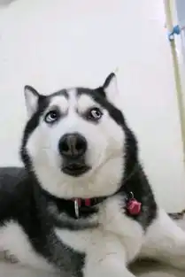  幽默段子之生活中以前和现在的一些变化