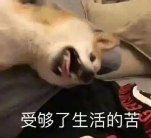  轻松一秒好身材牌连衣裙,男人的梦中情衣