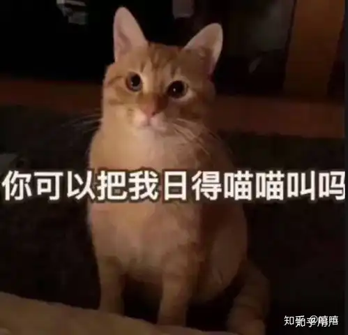  有哪些沙雕而不乏可爱的表情包狗头