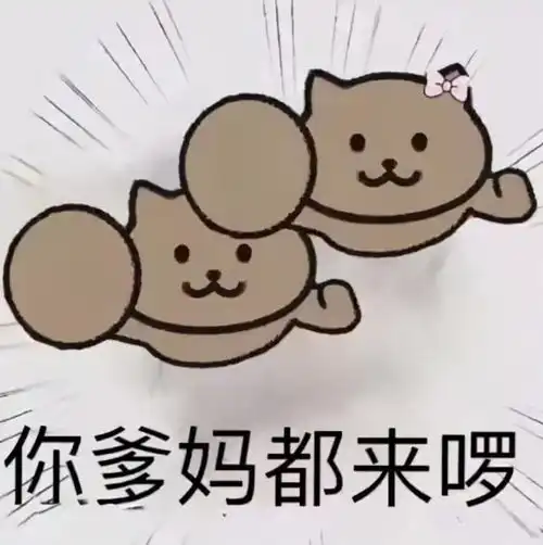 抖音霸屏表情包超火