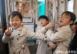  宋家三胞胎和妈妈一起去法国生活最新近照曝光